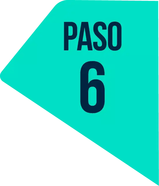 paso-6
